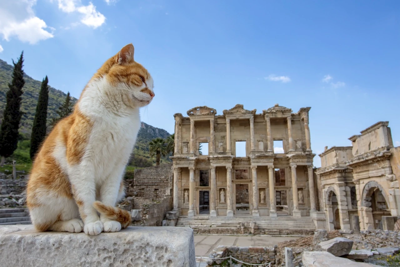 Ephesus as a Cultural Melting Pot: The Intersection of East and West